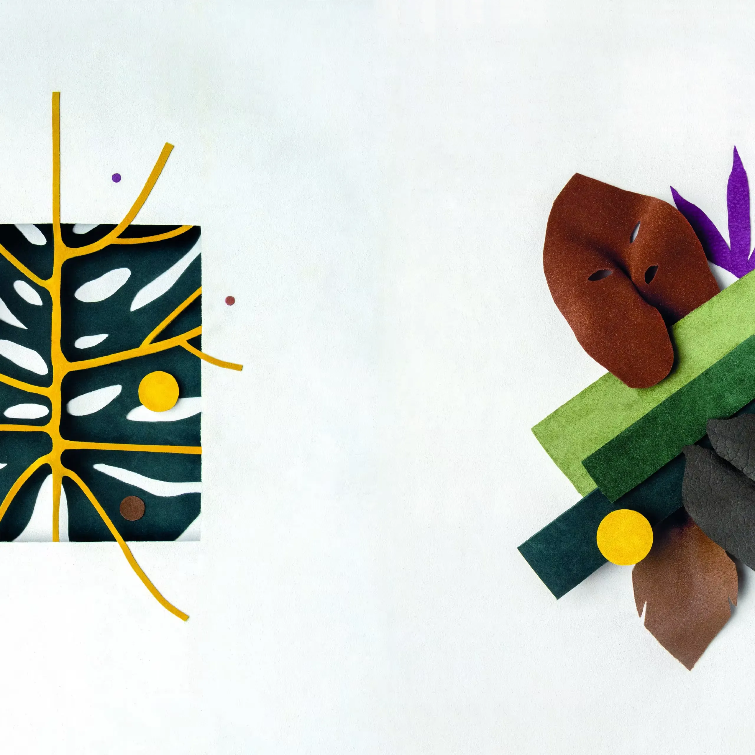 AUTUMN – WINTER 2020-2021