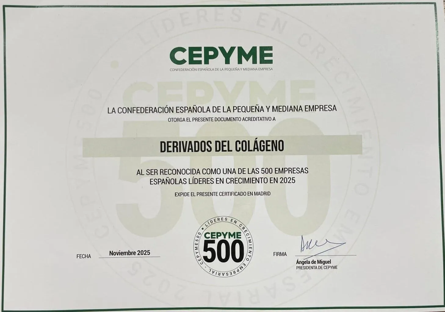 WhatsApp-Image-2025-11-13-at-10.32.42-e1763387917258