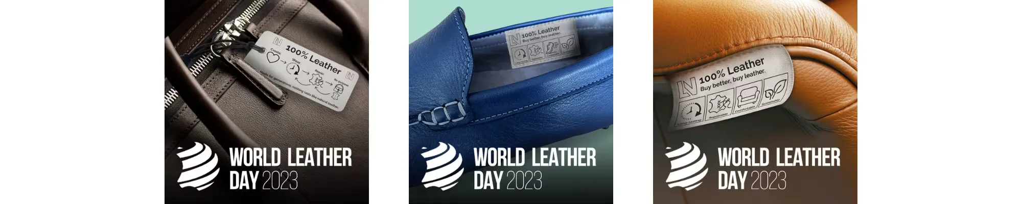 derivados-del-colageno-2-1